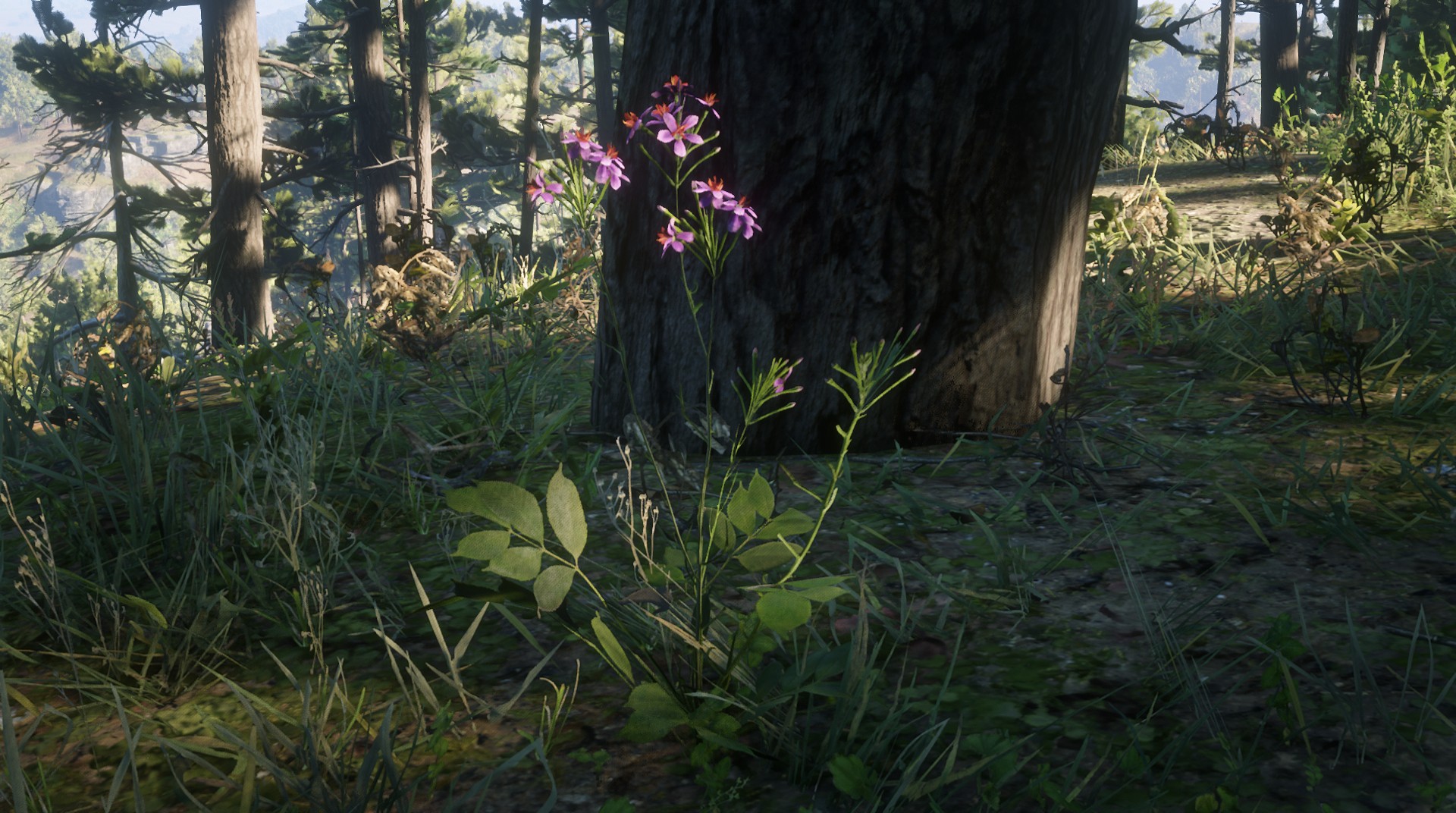 Harrietum Officinalis RED DEAD REDEMPTION 2 情報&攻略 wiki RDR2